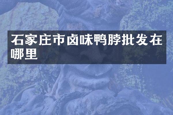 石家庄市卤味鸭脖批发在哪里