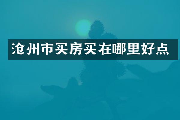 沧州市买房买在哪里好点