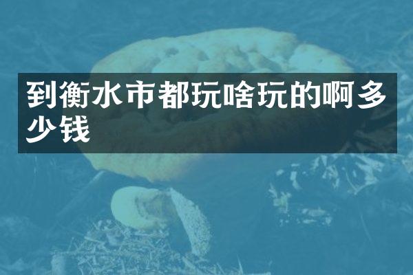 到衡水市都玩啥玩的啊多少钱
