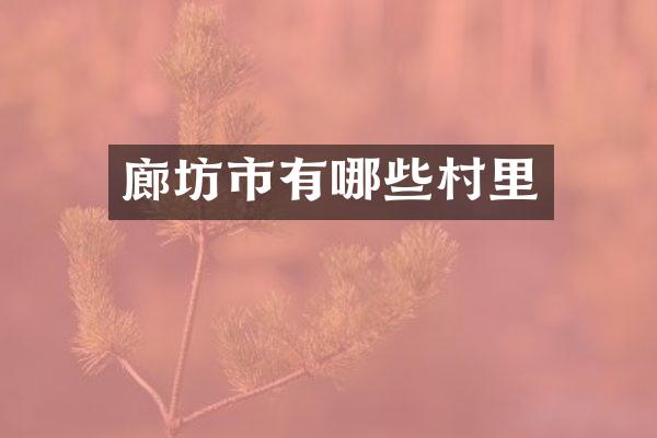 廊坊市有哪些村里