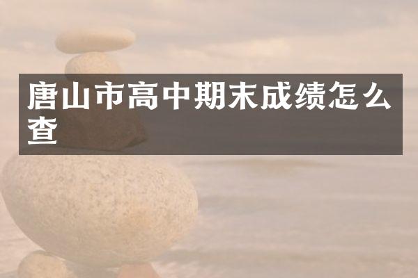 唐山市高中期末成绩怎么查