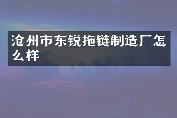 沧州市东锐拖链制造厂怎么样