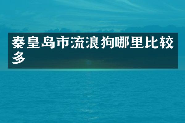 秦皇岛市流浪狗哪里比较多