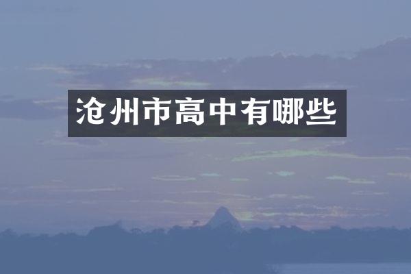 沧州市高中有哪些