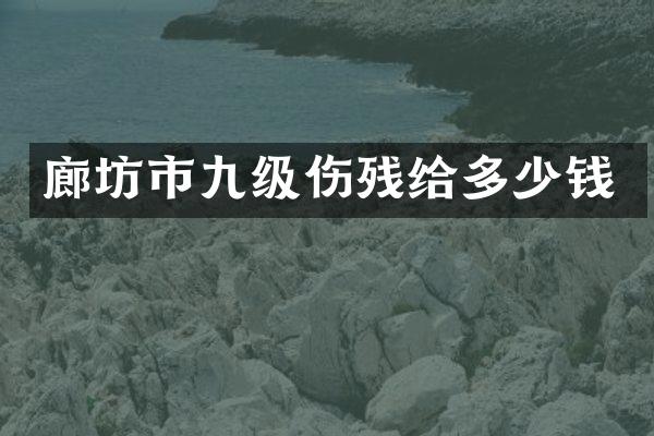 廊坊市九级伤残给多少钱
