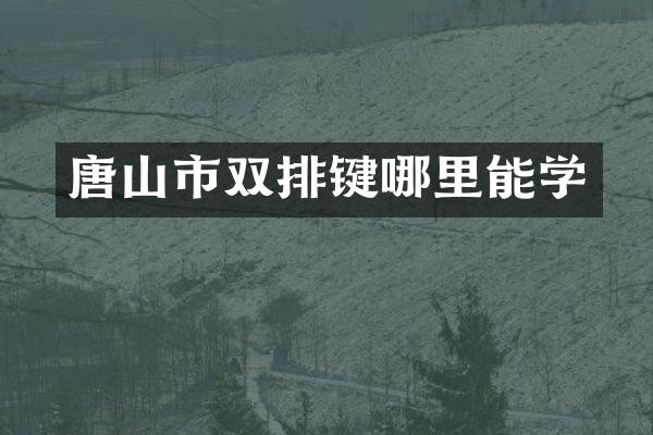 唐山市双排键哪里能学