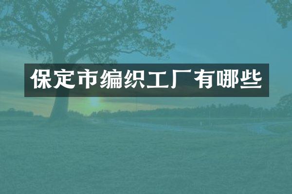 保定市编织工厂有哪些