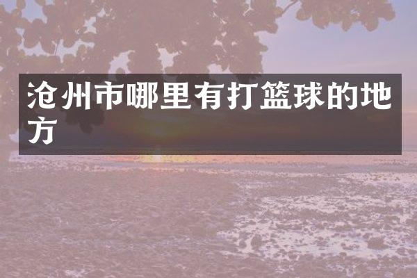 沧州市哪里有打篮球的地方