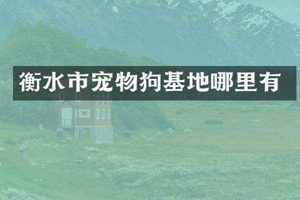 衡水市宠物狗基地哪里有