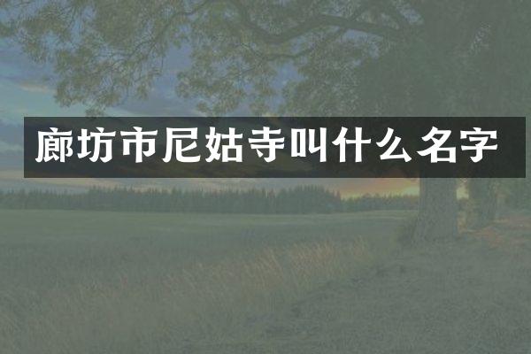 廊坊市尼姑寺叫什么名字