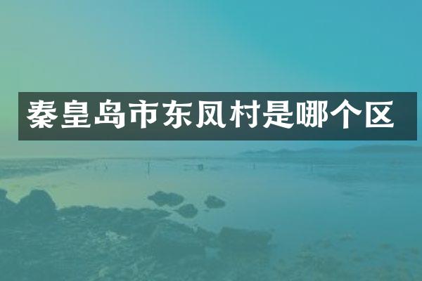 秦皇岛市东凤村是哪个区