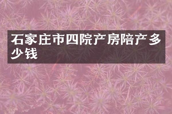 石家庄市四院产房陪产多少钱