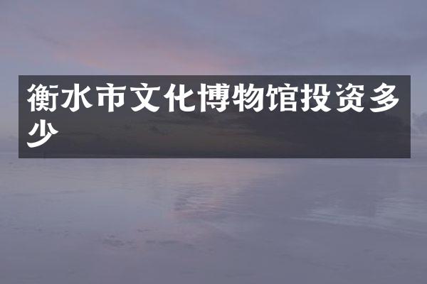 衡水市文化博物馆投资多少