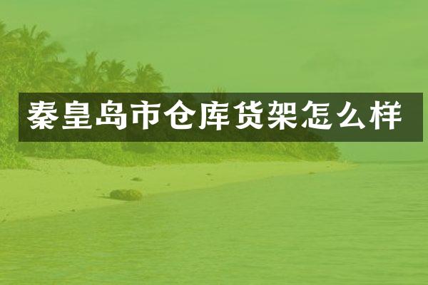 秦皇岛市仓库货架怎么样