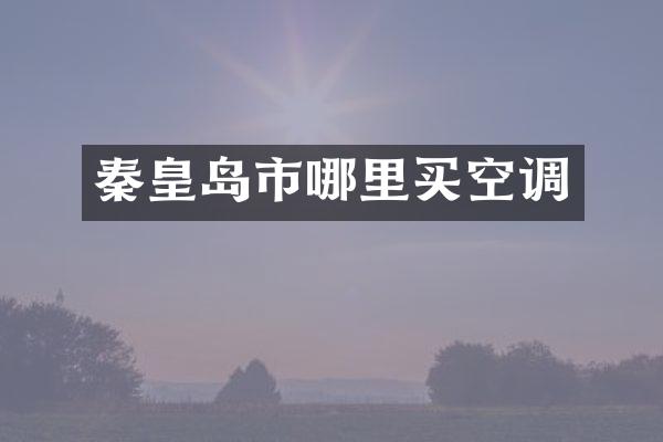 秦皇岛市哪里买空调