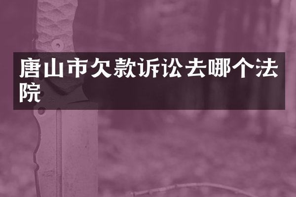 唐山市欠款诉讼去哪个法院