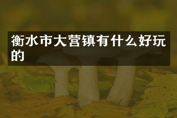 衡水市大营镇有什么好玩的