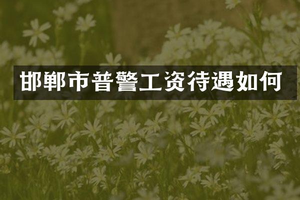 邯郸市普警工资待遇如何
