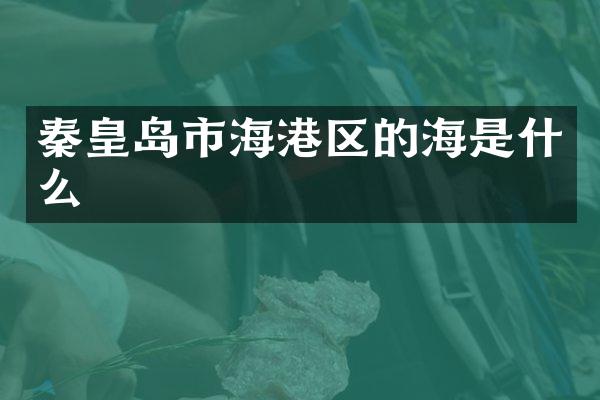 秦皇岛市海港区的海是什么