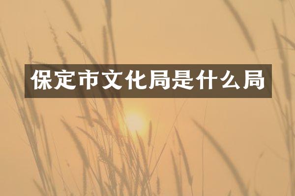 保定市文化局是什么局