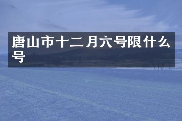 唐山市十二月六号限什么号