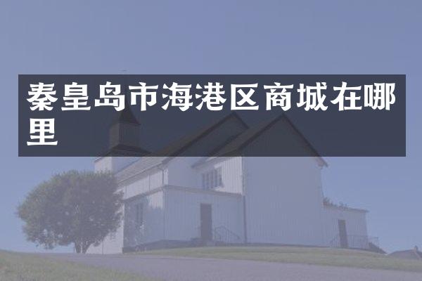秦皇岛市海港区商城在哪里