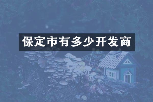 保定市有多少开发商