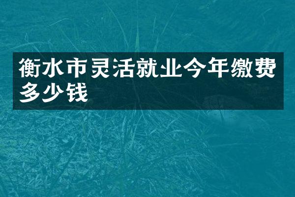 衡水市灵活就业今年缴费多少钱