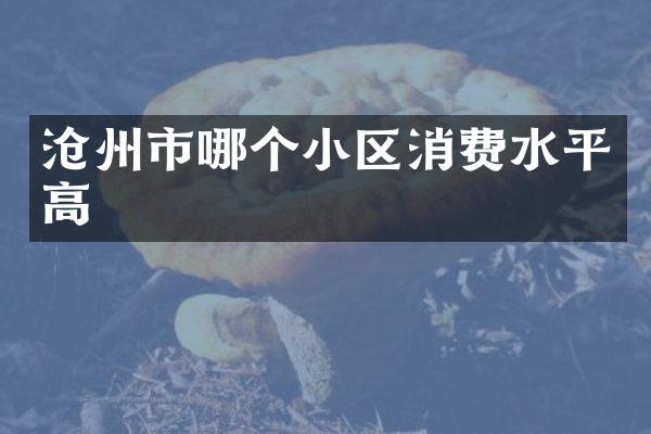 沧州市哪个小区消费水平高