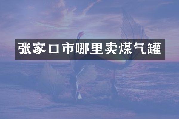 张家口市哪里卖煤气罐