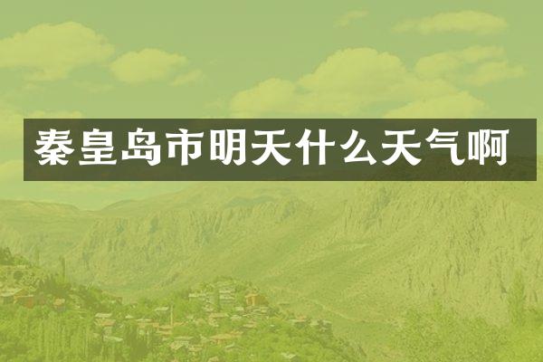 秦皇岛市明天什么天气啊