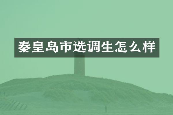 秦皇岛市选调生怎么样