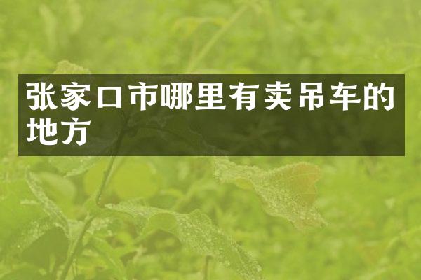 张家口市哪里有卖吊车的地方