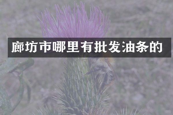 廊坊市哪里有批发油条的