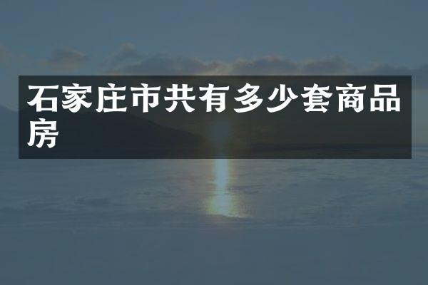 石家庄市共有多少套商品房