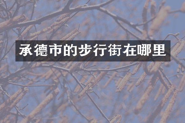 承德市的步行街在哪里