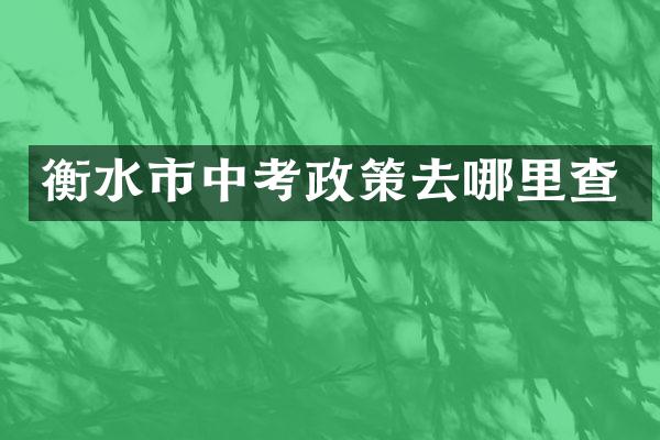 衡水市中考政策去哪里查