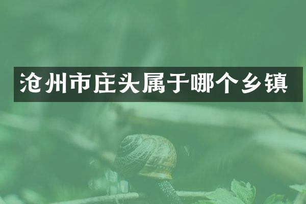 沧州市庄头属于哪个乡镇