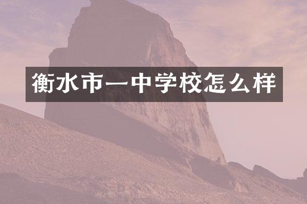 衡水市一中学校怎么样