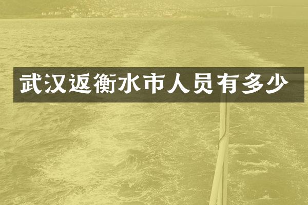 武汉返衡水市人员有多少