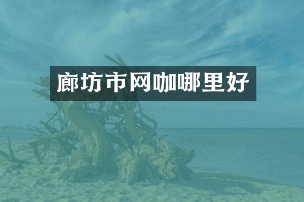 廊坊市网咖哪里好