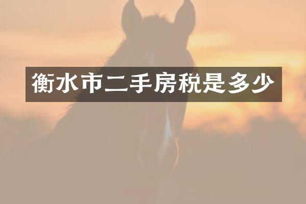 衡水市二手房税是多少