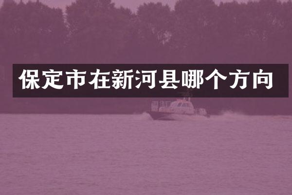 保定市在新河县哪个方向