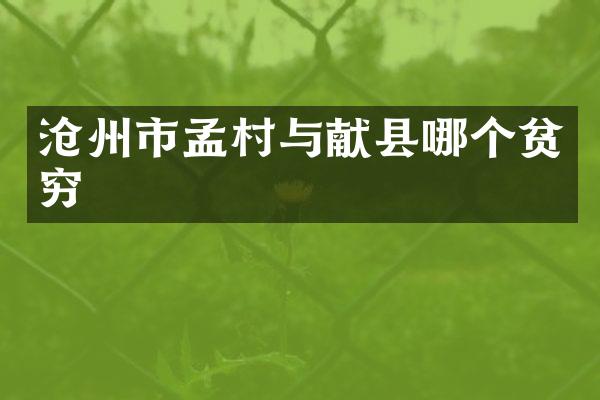 沧州市孟村与献县哪个贫穷