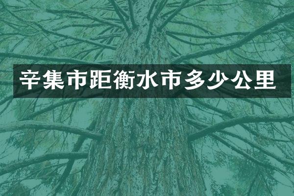 辛集市距衡水市多少公里