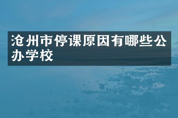 沧州市停课原因有哪些公办学校