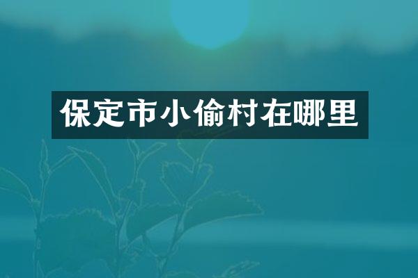保定市小偷村在哪里