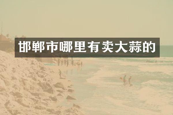 邯郸市哪里有卖大蒜的