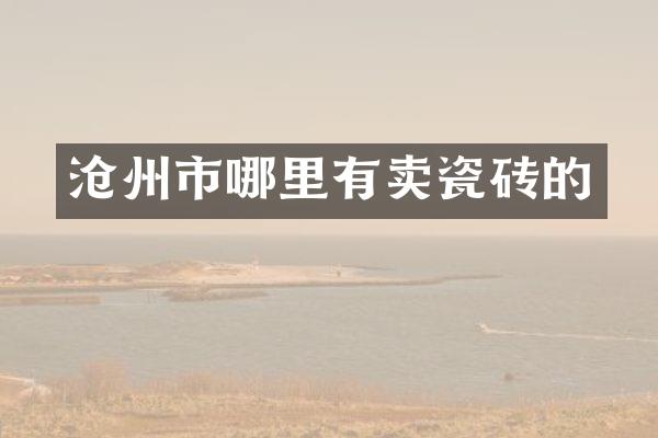 沧州市哪里有卖瓷砖的