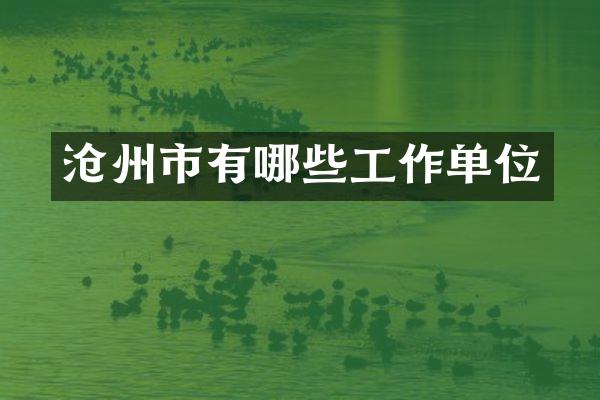 沧州市有哪些工作单位